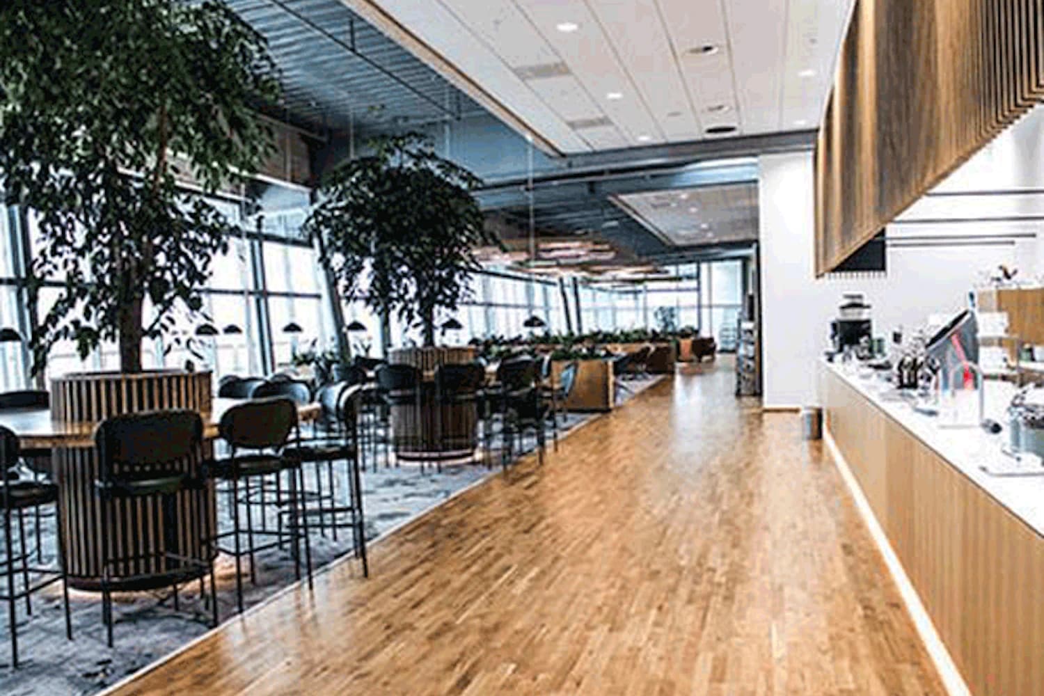 Heller Aufenthaltsbereich mit Holzfußboden, Pflanzen und Theke in der King Amlet Lounge am Flughafen Billund
